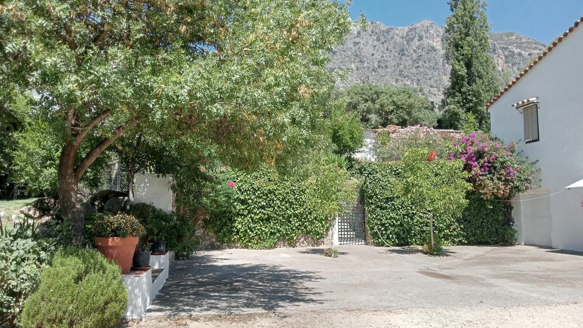 Dom wakacyjny Casa Rural La Maquinilla Grazalema Hiszpania